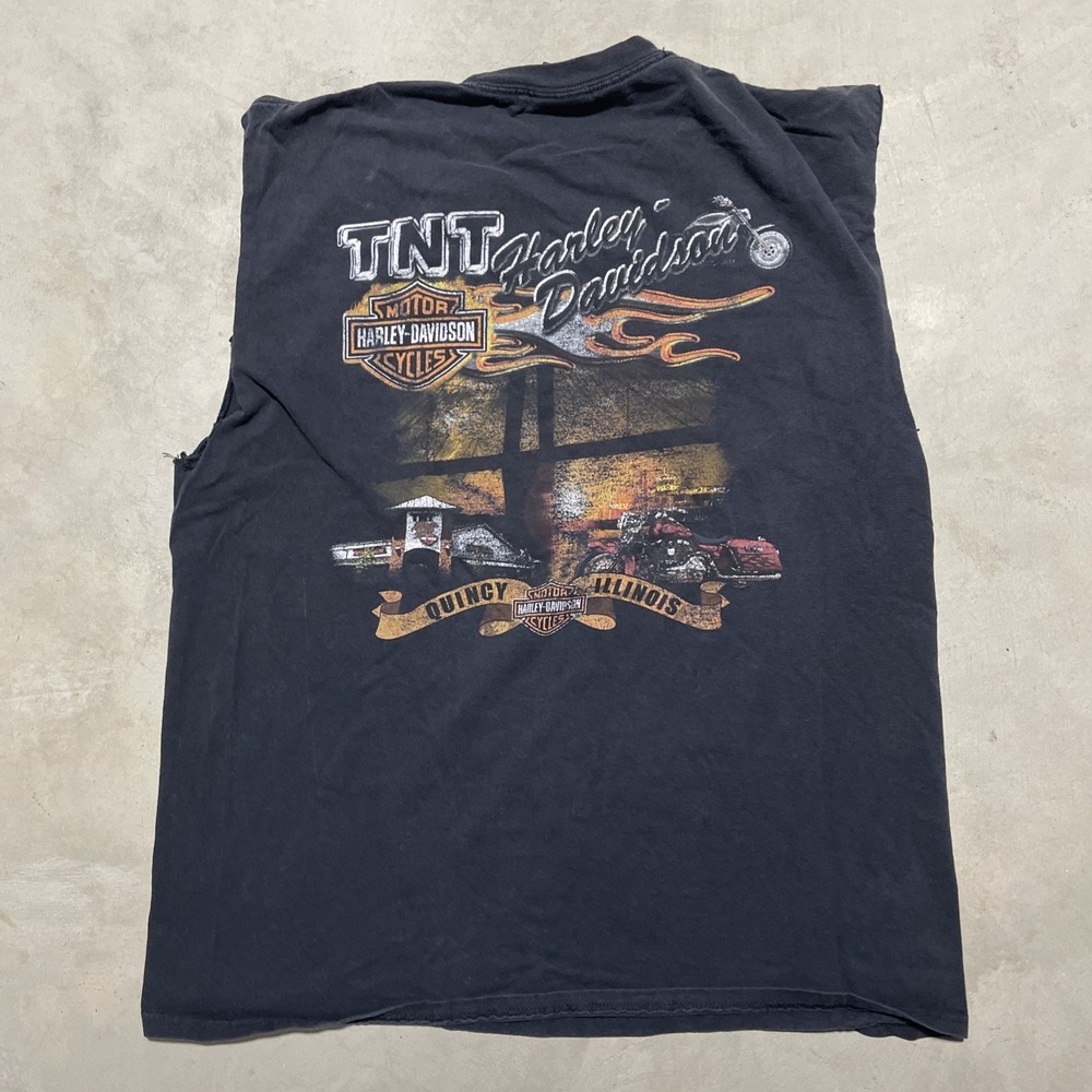 Vintage Harley-Davidson Shirt Men's SZ L Eagle Tank Top TNT Quincy IL 2012